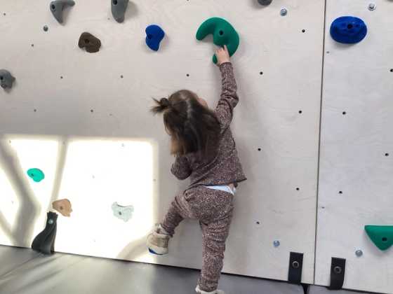 The climbing wall