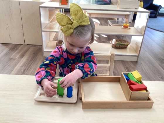 Exploring shapes in a calm environment.
