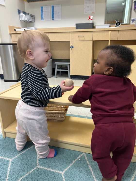 Toddlers playing together. 