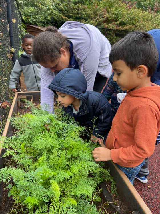 Preschool-aged children working in the garden.